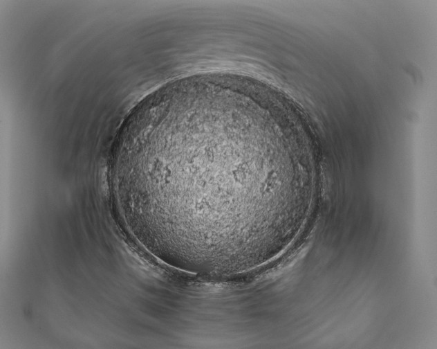 X0000111881497200907231524