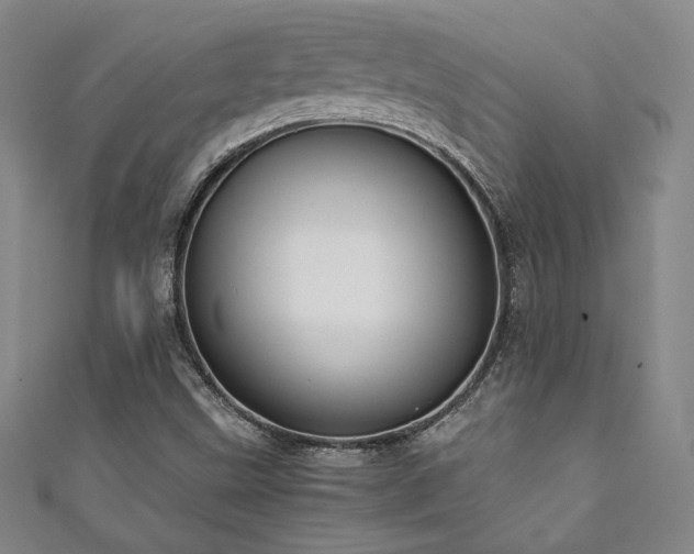 X0000111881499200907231524