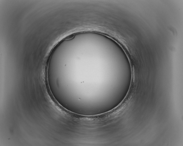 X0000111881500200907231524