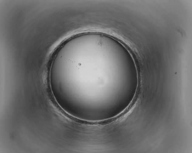 X0000111881502200907231524