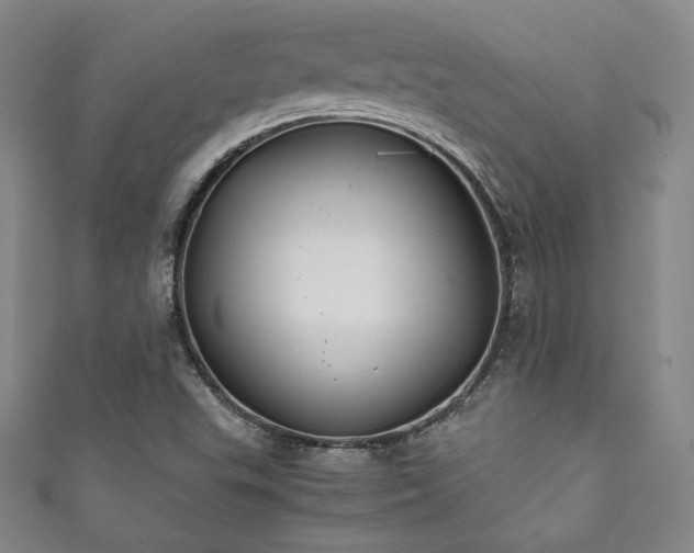 X0000111881503200907231524