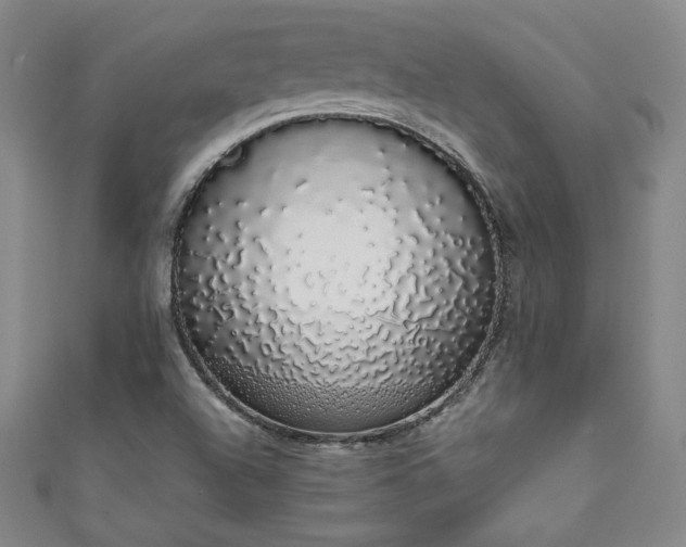 X0000111881504200907231524