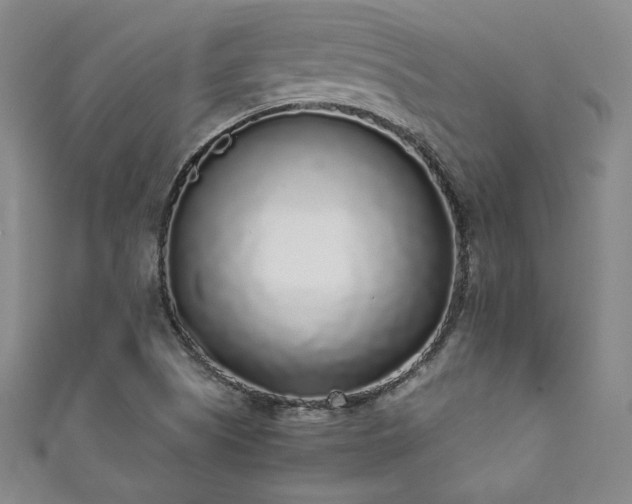 X0000111881505200907231524