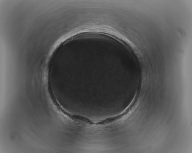 X0000111881506200907231524