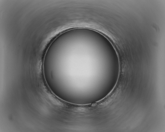 X0000111881507200907231524