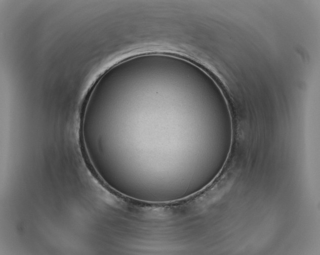 X0000111881508200907231524