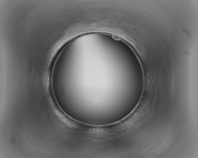 X0000111881511200907231524