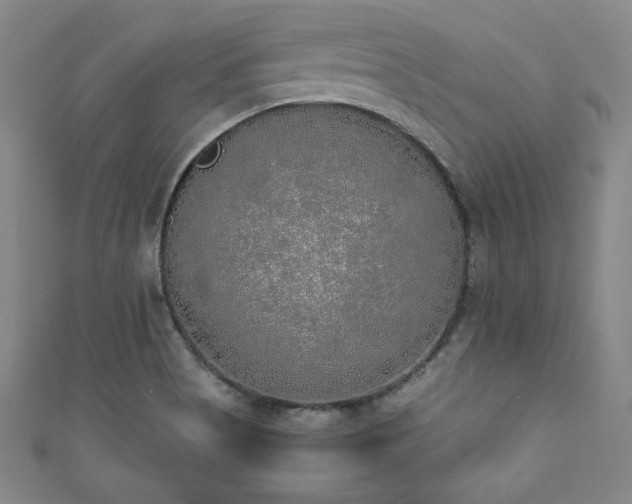X0000111881513200907231524