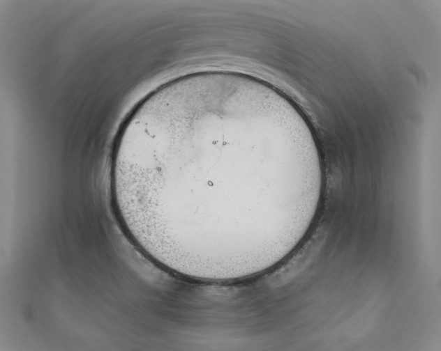 X0000111881514200907231524