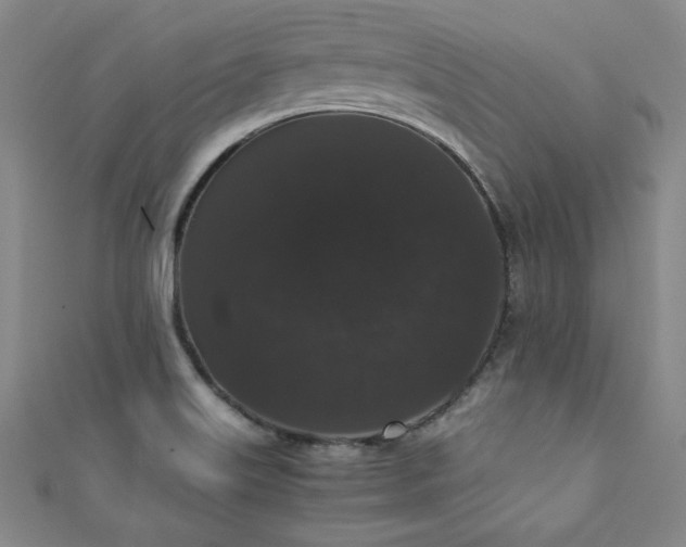 X0000111881515200907231524