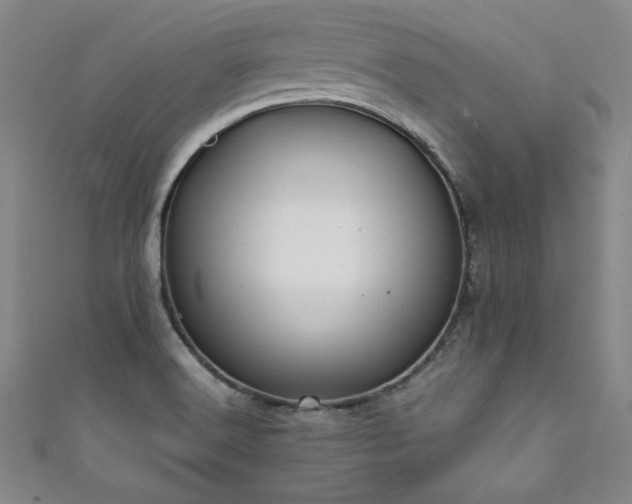 X0000111881516200907231524