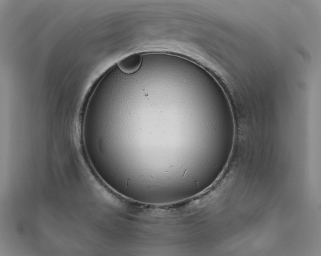 X0000111881517200907231524