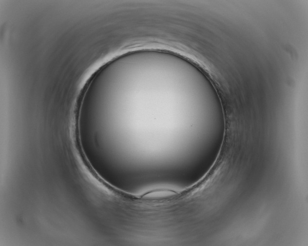 X0000111881518200907231524