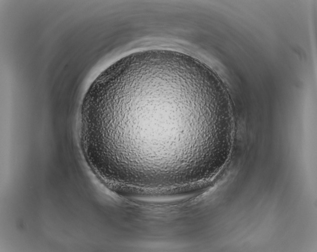 X0000111881520200907231524