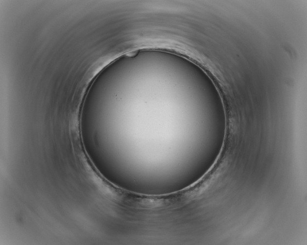 X0000111881521200907231524