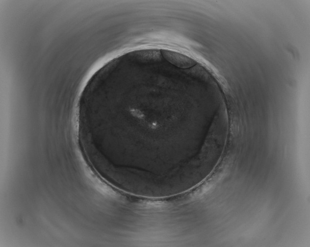 X0000111881522200907231524