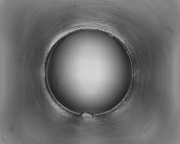 X0000111881523200907231524