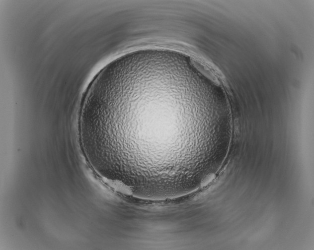 X0000111881530200907231524
