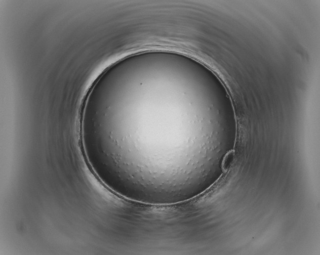 X0000111881531200907231524