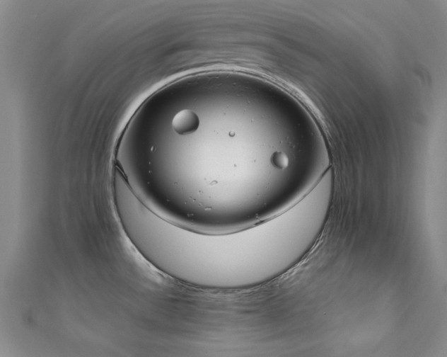X0000111881532200907231524