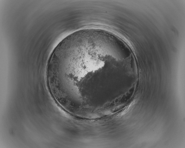X0000111881533200907231524