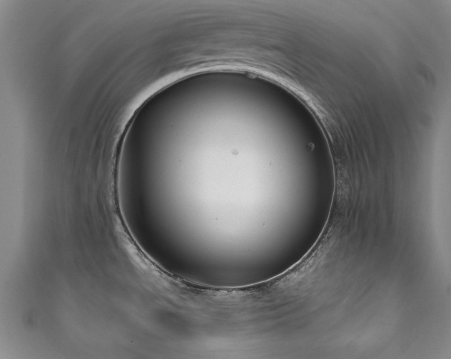 X0000111881534200907231525