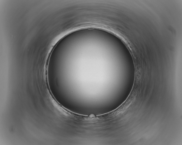 X0000111881535200907231525