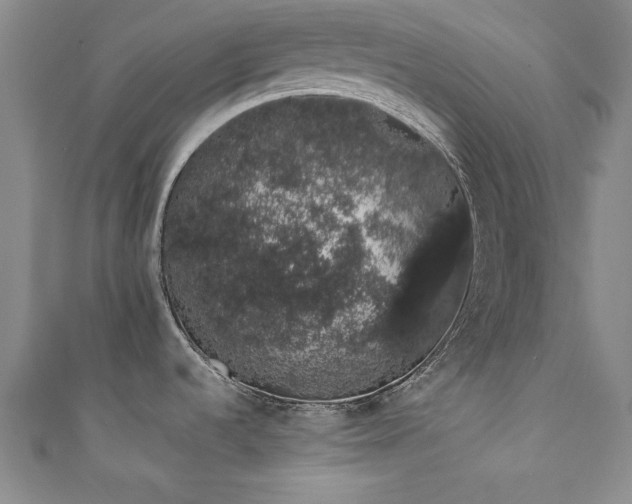 X0000111881536200907231525
