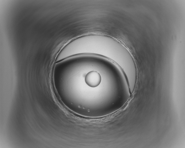 X0000111880001200907301146