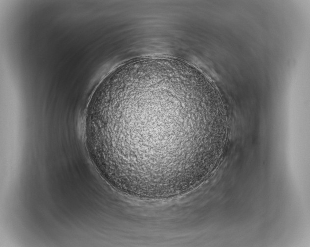 X0000111880002200907301146