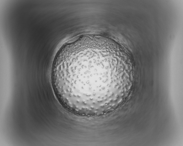 X0000111880003200907301146