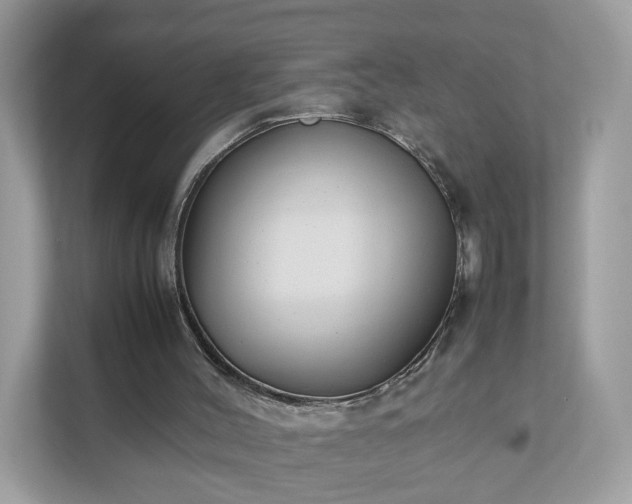 X0000111880004200907301146