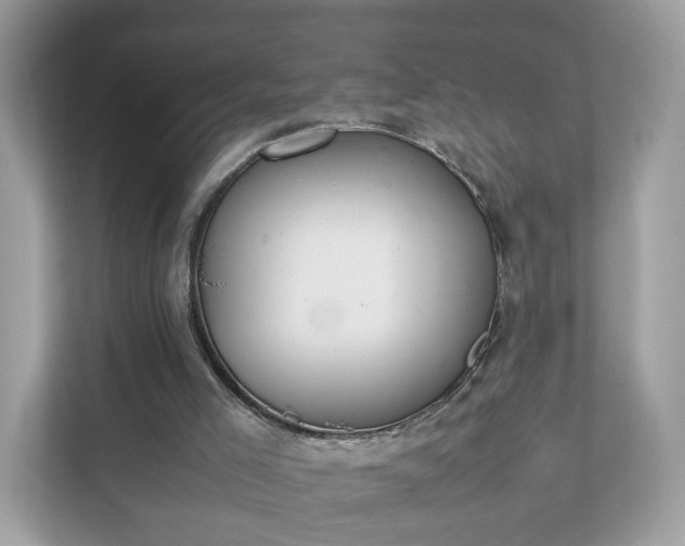 X0000111880005200907301146