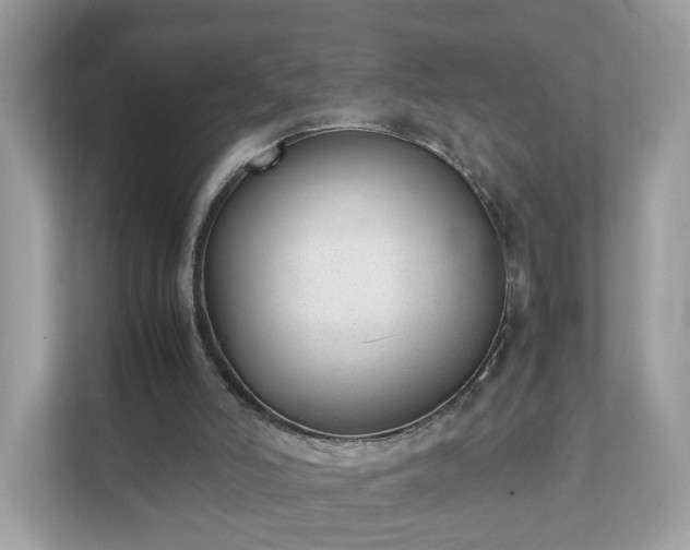 X0000111880006200907301146