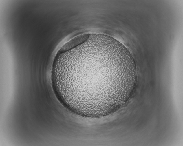 X0000111880007200907301146