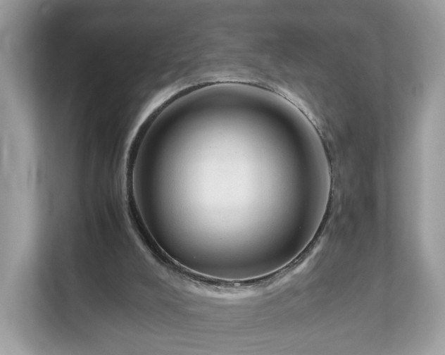 X0000111880008200907301146