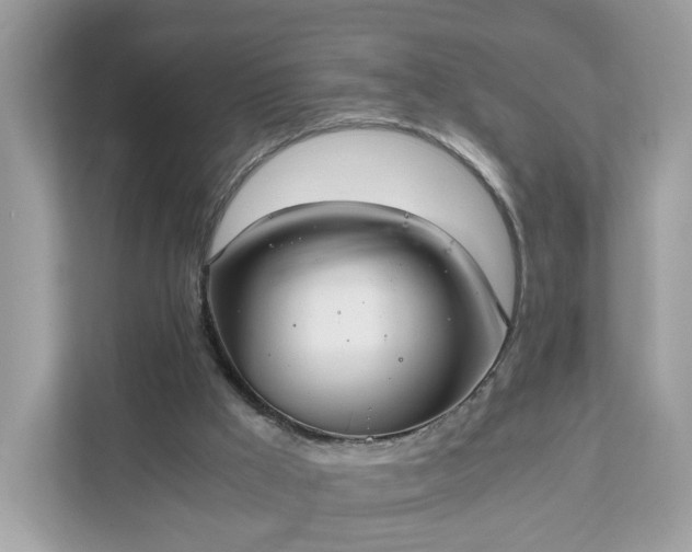 X0000111880009200907301146