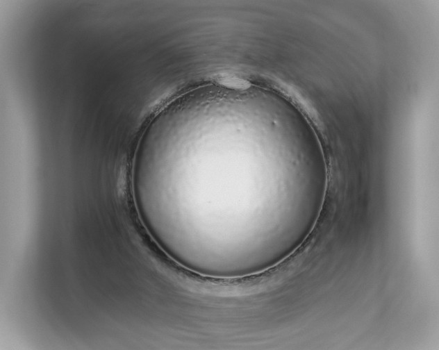 X0000111880010200907301146