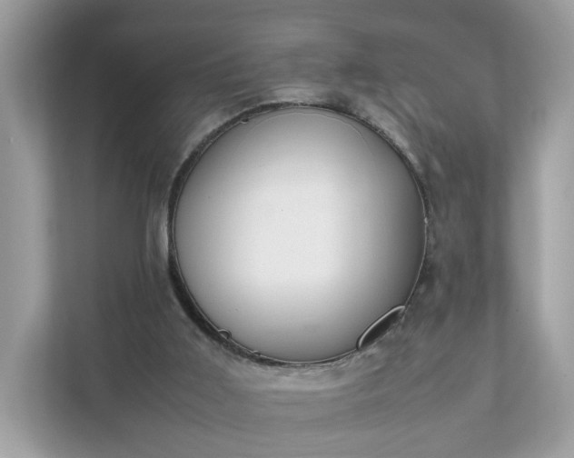 X0000111880011200907301146