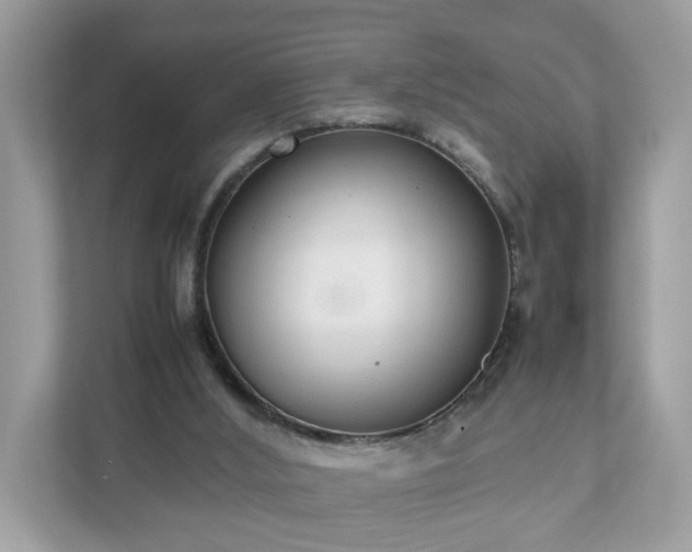 X0000111880012200907301146