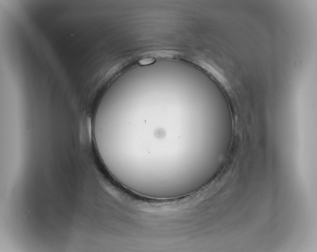 X0000111880013200907301146