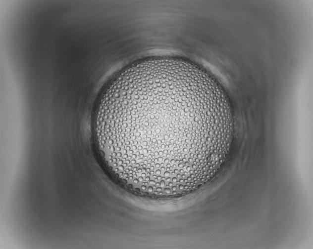 X0000111880015200907301146