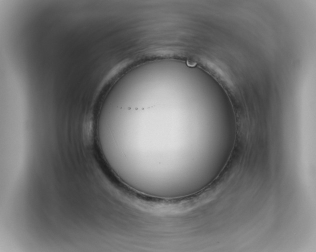 X0000111880016200907301146