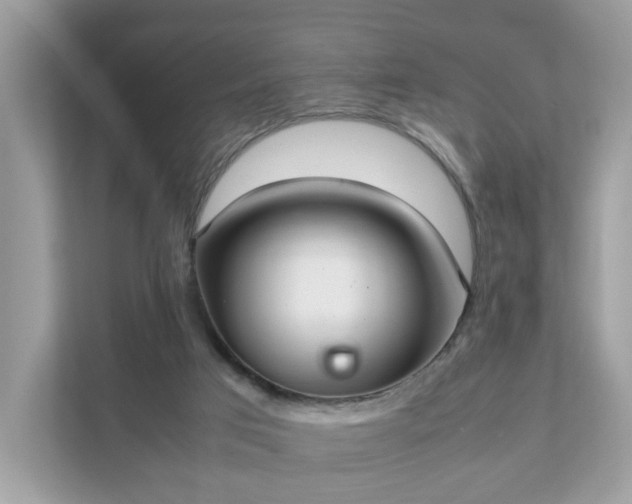 X0000111880017200907301146