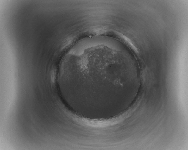 X0000111880018200907301146