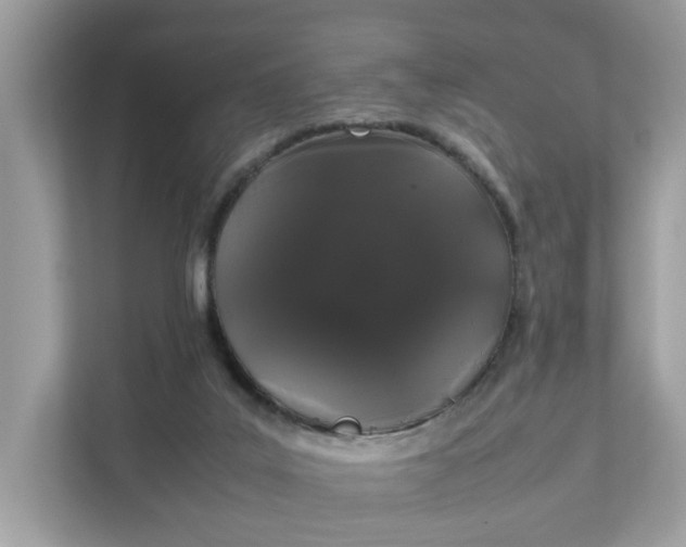 X0000111880019200907301146