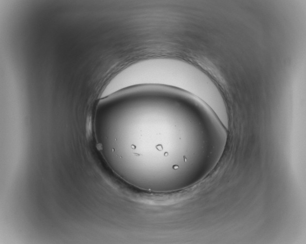 X0000111880021200907301146