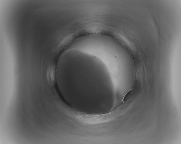 X0000111880023200907301146