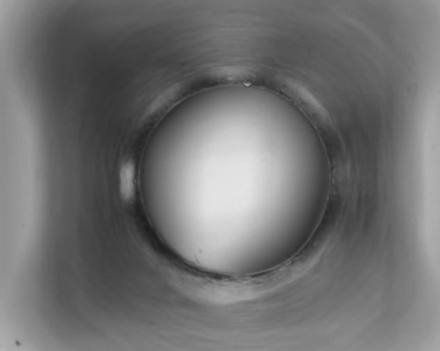 X0000111880024200907301146