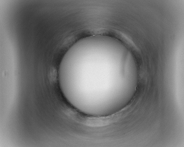 X0000111880025200907301146